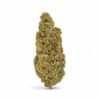 Casino Cookies CBD Hemp Flower