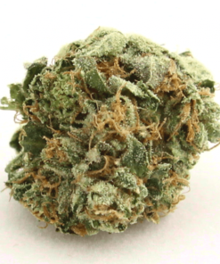 AK 47 Strain (AK47 Weed)