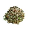 LSD Strain