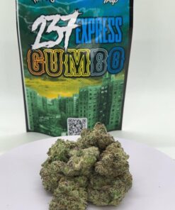 237 Express Gumbo