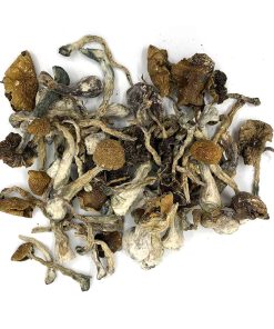 Wavy Z’s Magic Mushrooms (Wavy Shrooms)